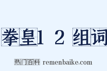 拳皇12组词是什么意思的图片